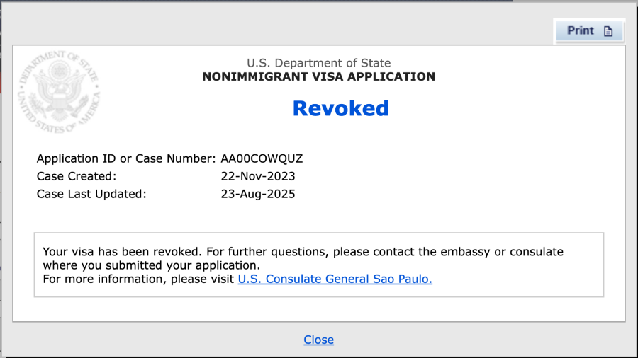 Imagem Status visto americano